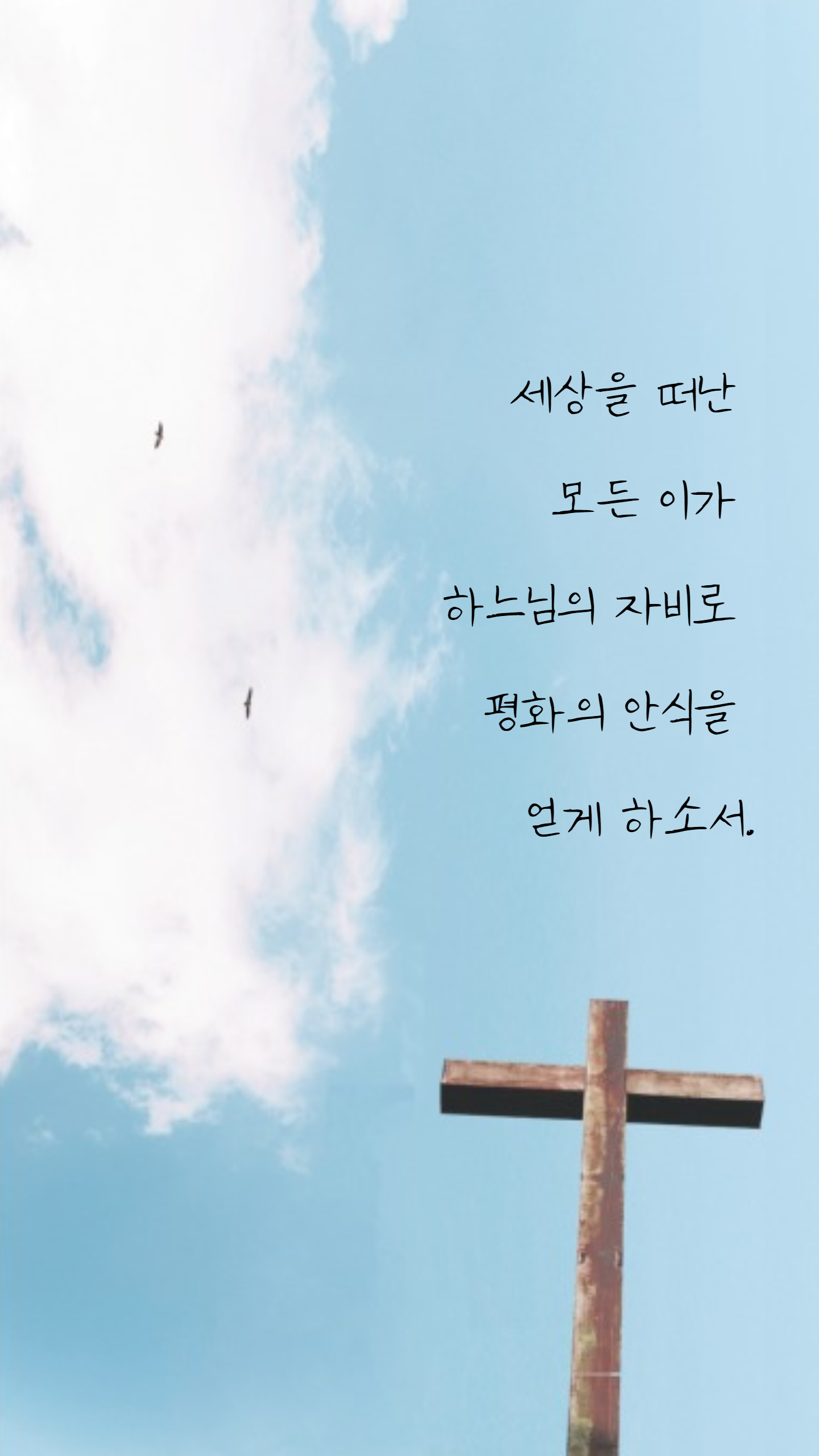 위령성월.png