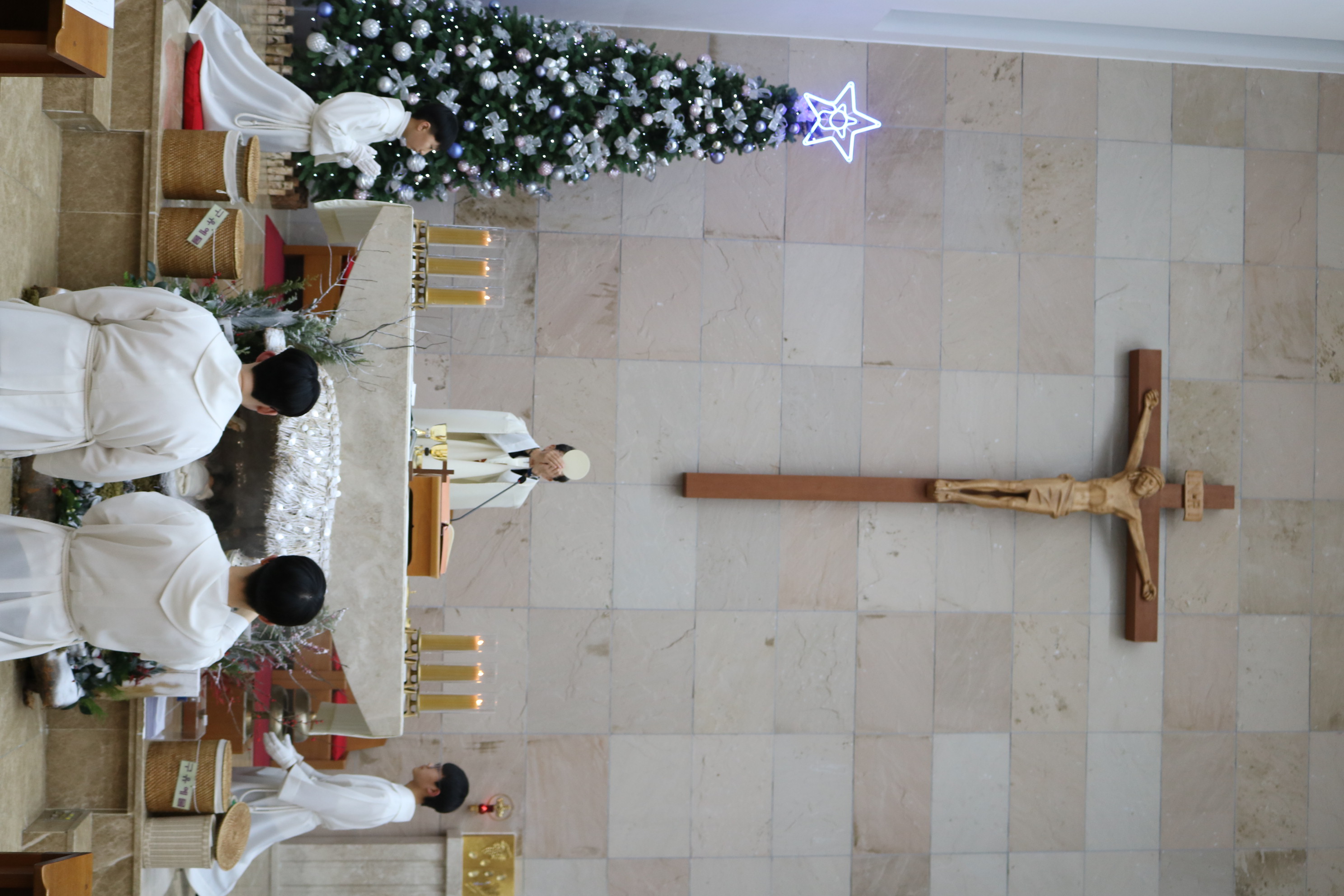 IMG_8371.JPG