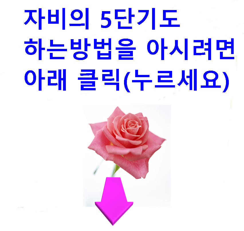 01.PNG