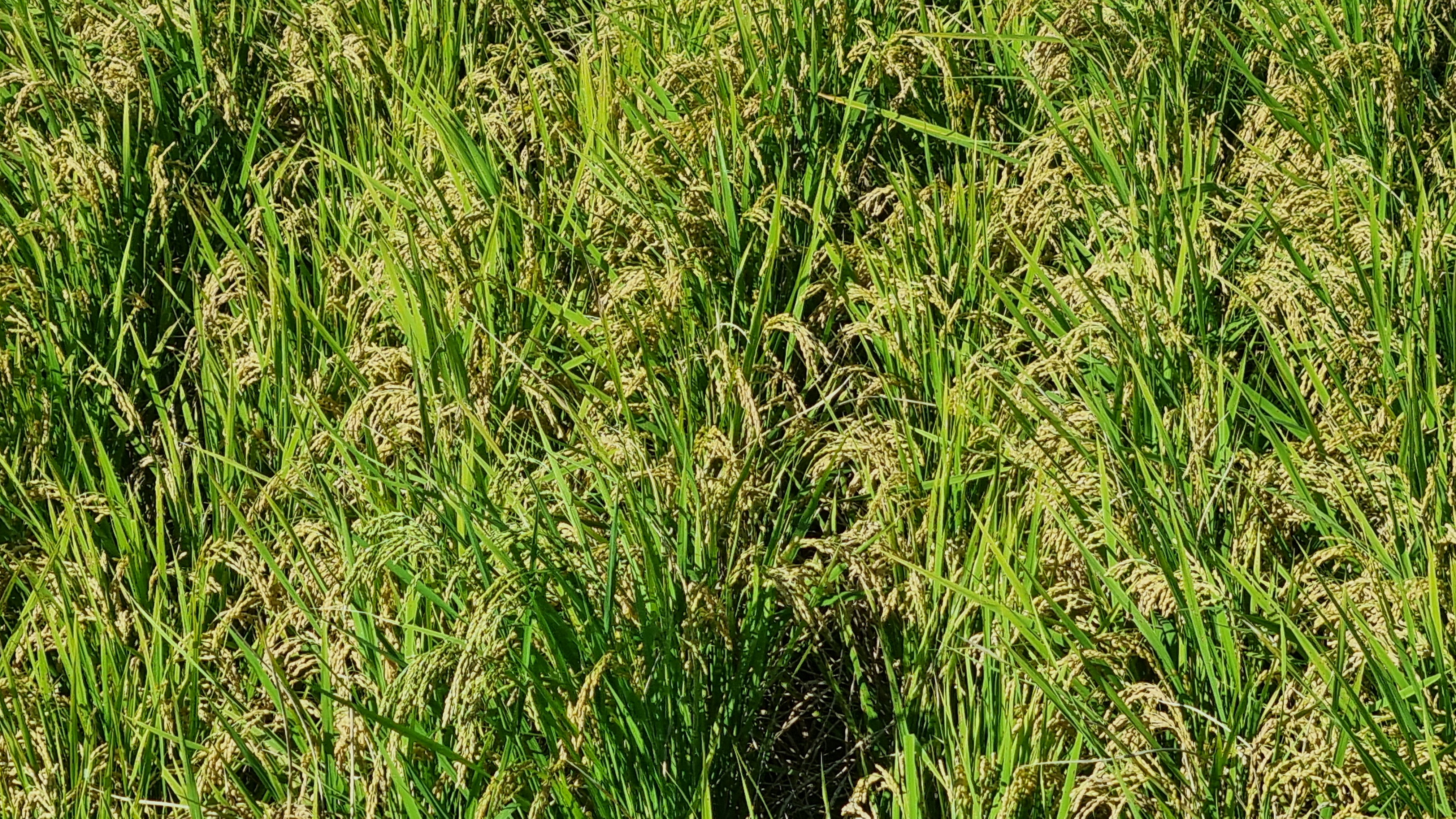20240918_152954.jpg