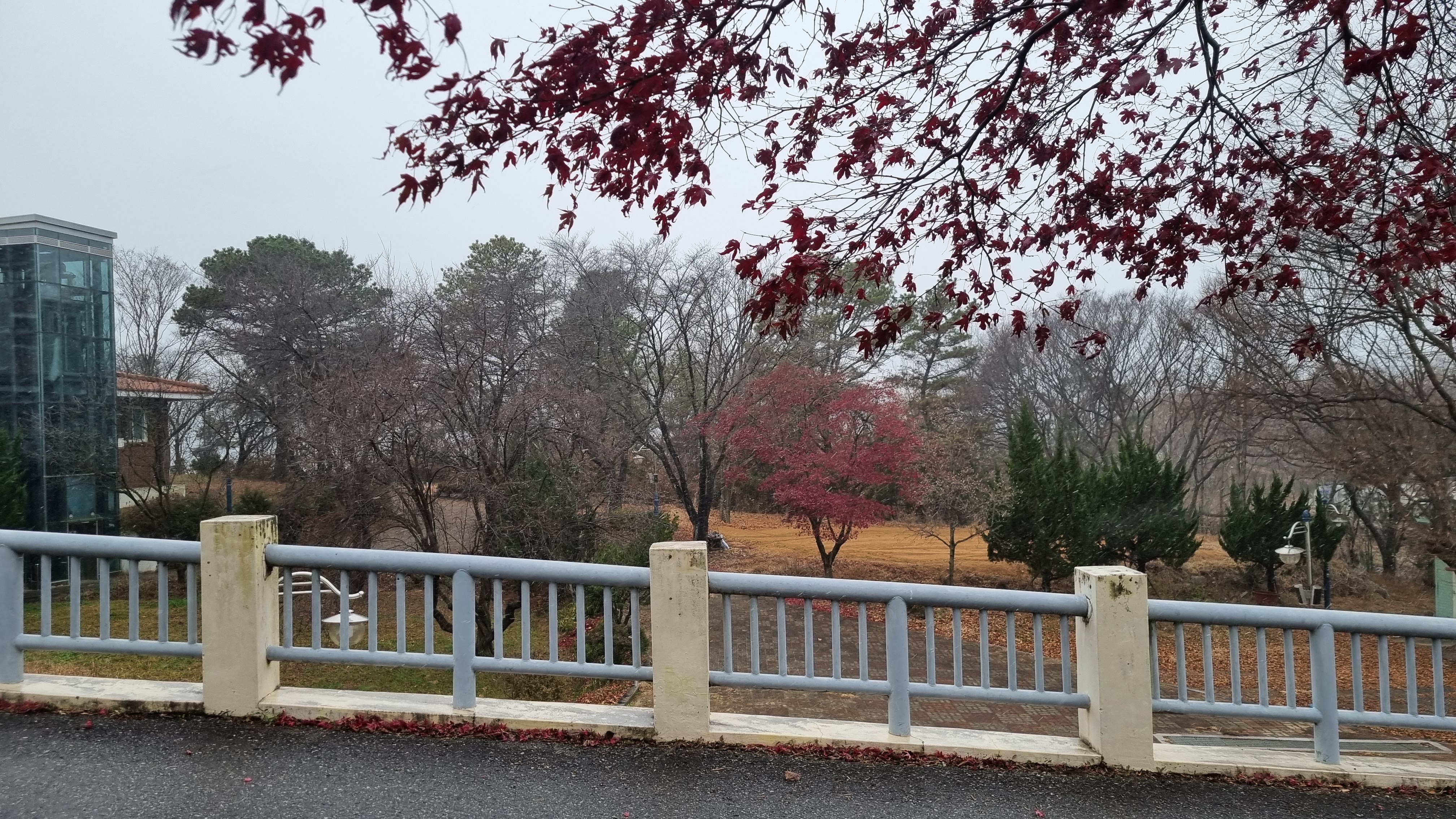 20241221_100117.jpg