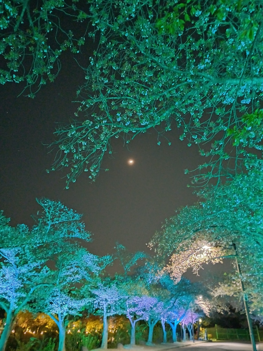 1712995980751.jpg