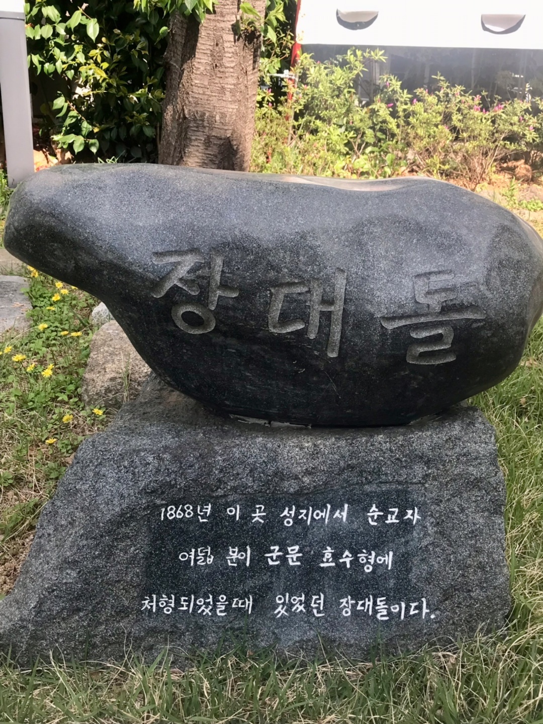 1745672992491.jpg