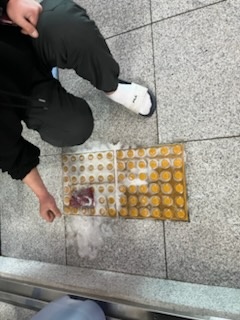 1744112338638-6.jpg
