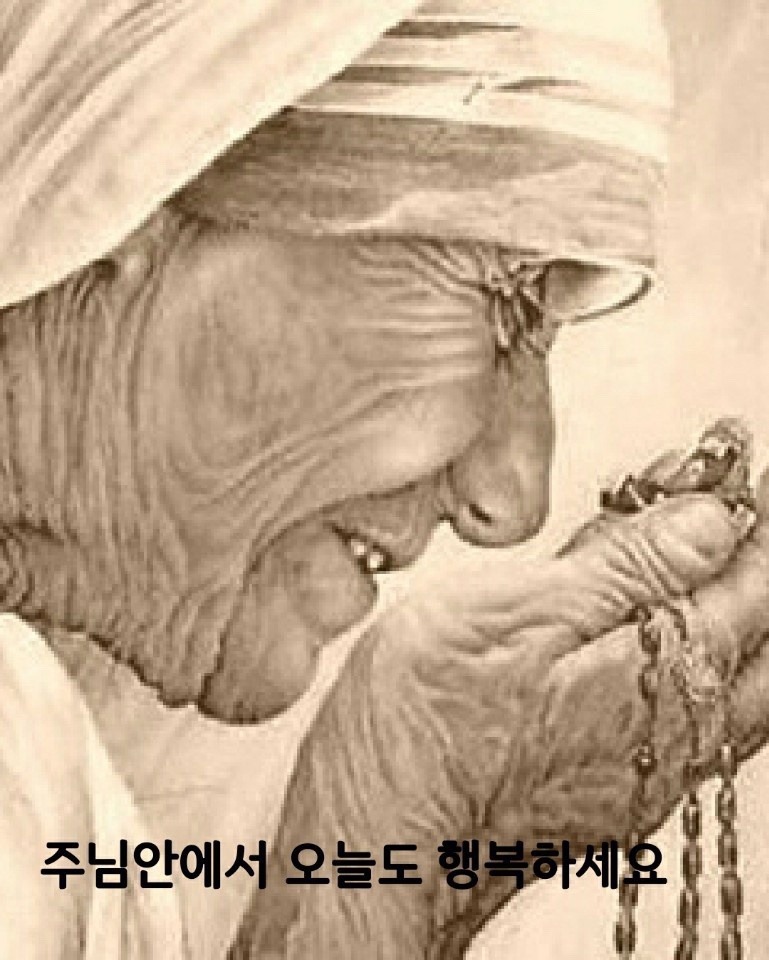 1736473638460.jpg