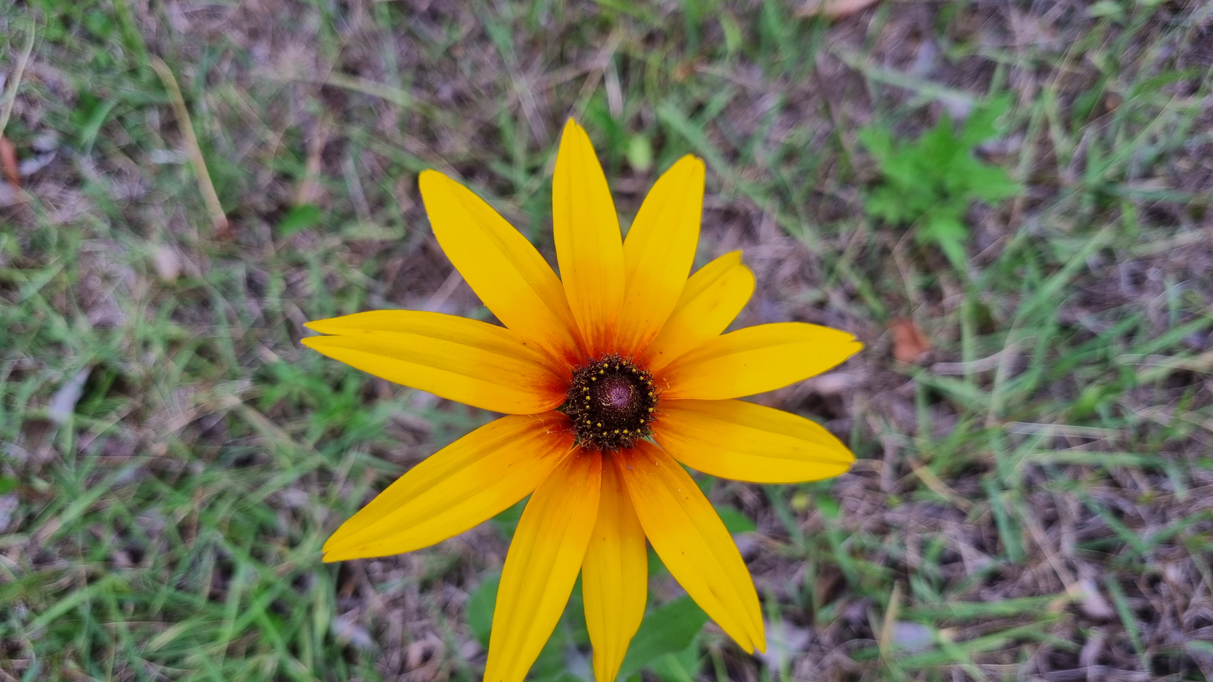 20240622_083341.jpg