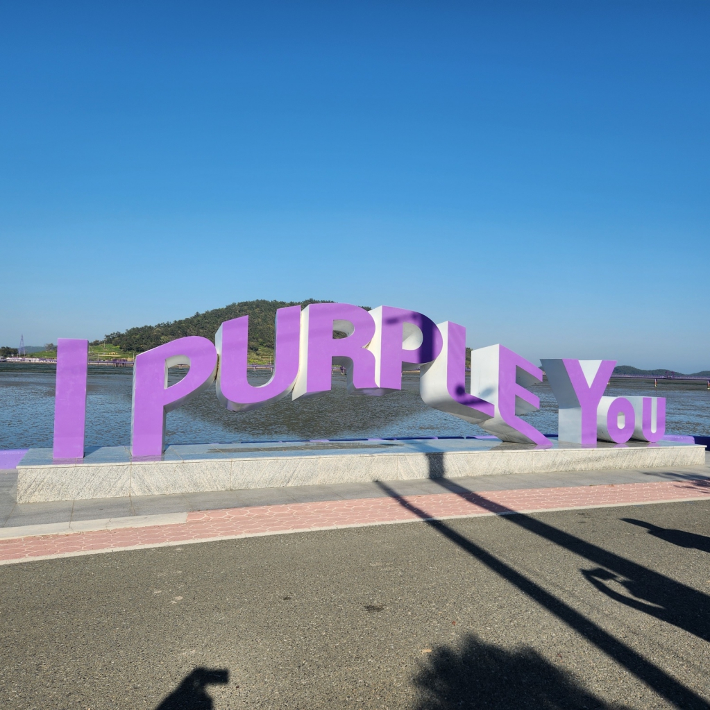 1746016732842-10.jpg