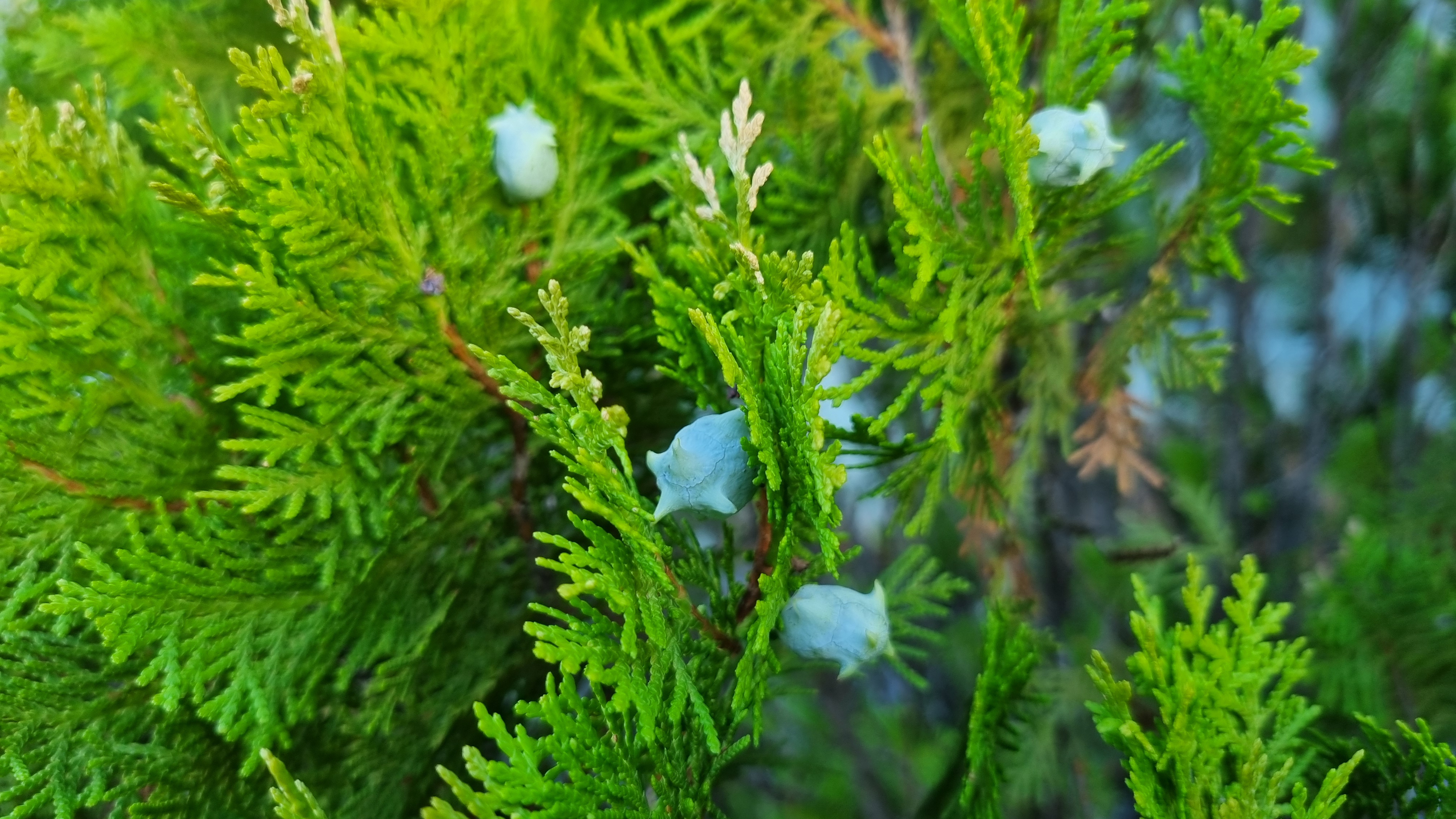20240823_072437.jpg