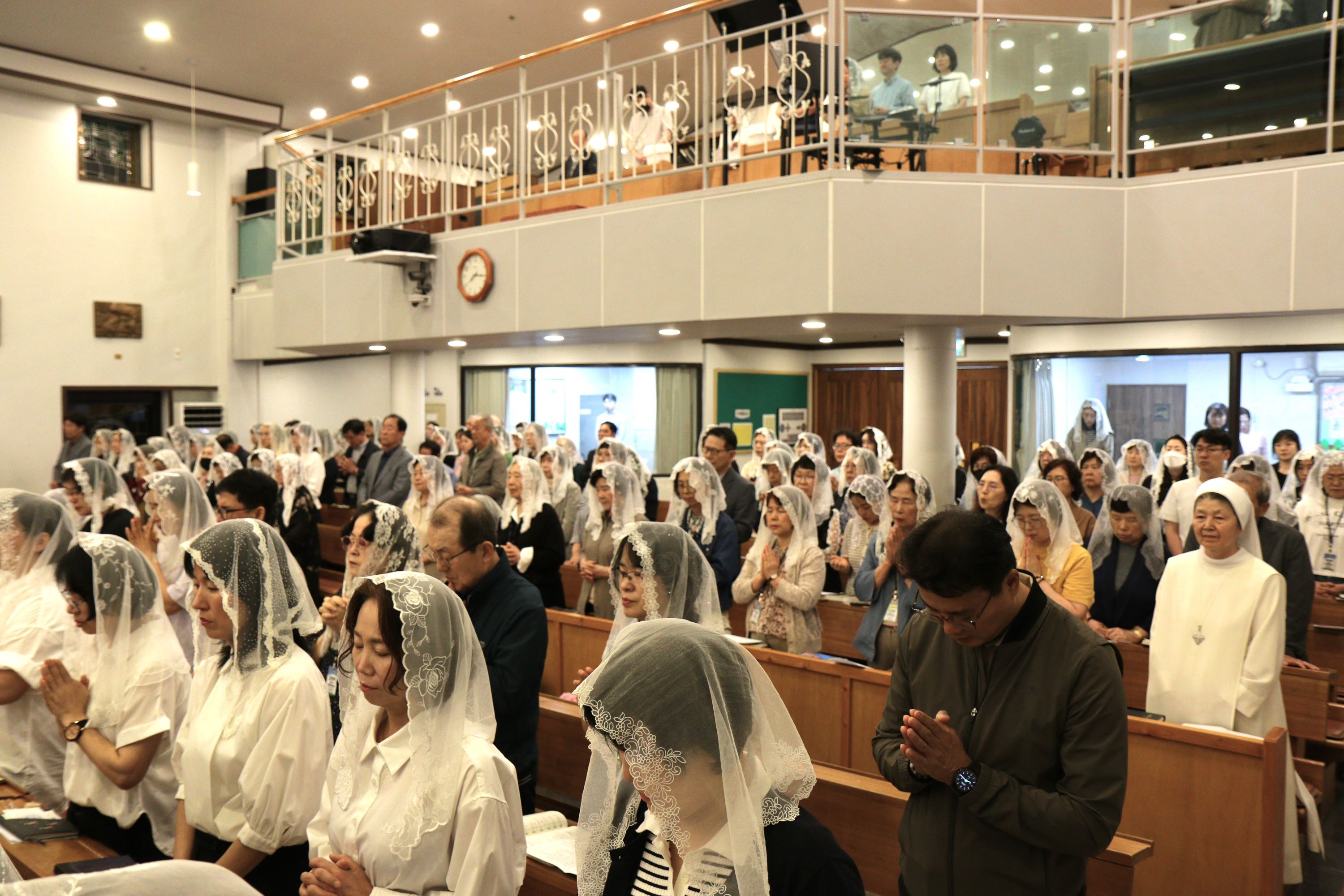 IMG_9521.JPG