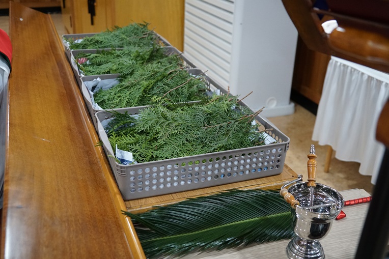 DSC08064.JPG