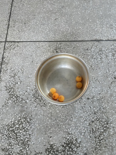 1622 1764542793379.jpg