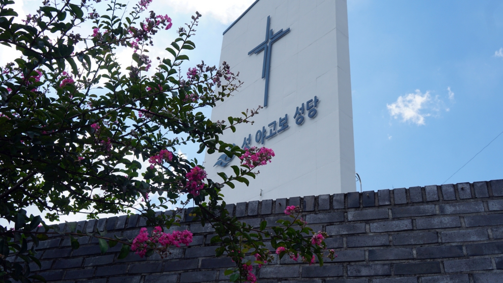 DSC09292.JPG