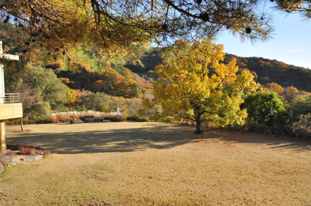 DSC_0642.JPG