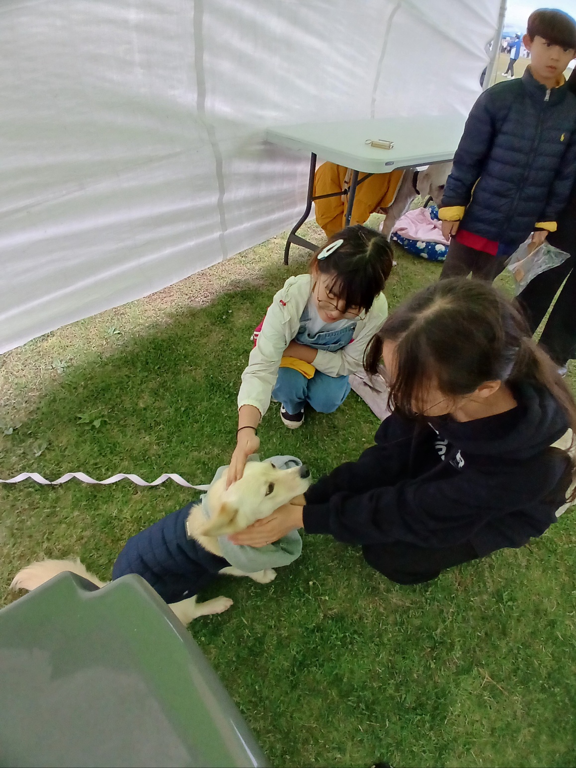 KakaoTalk_20250503_211333708_12.jpg