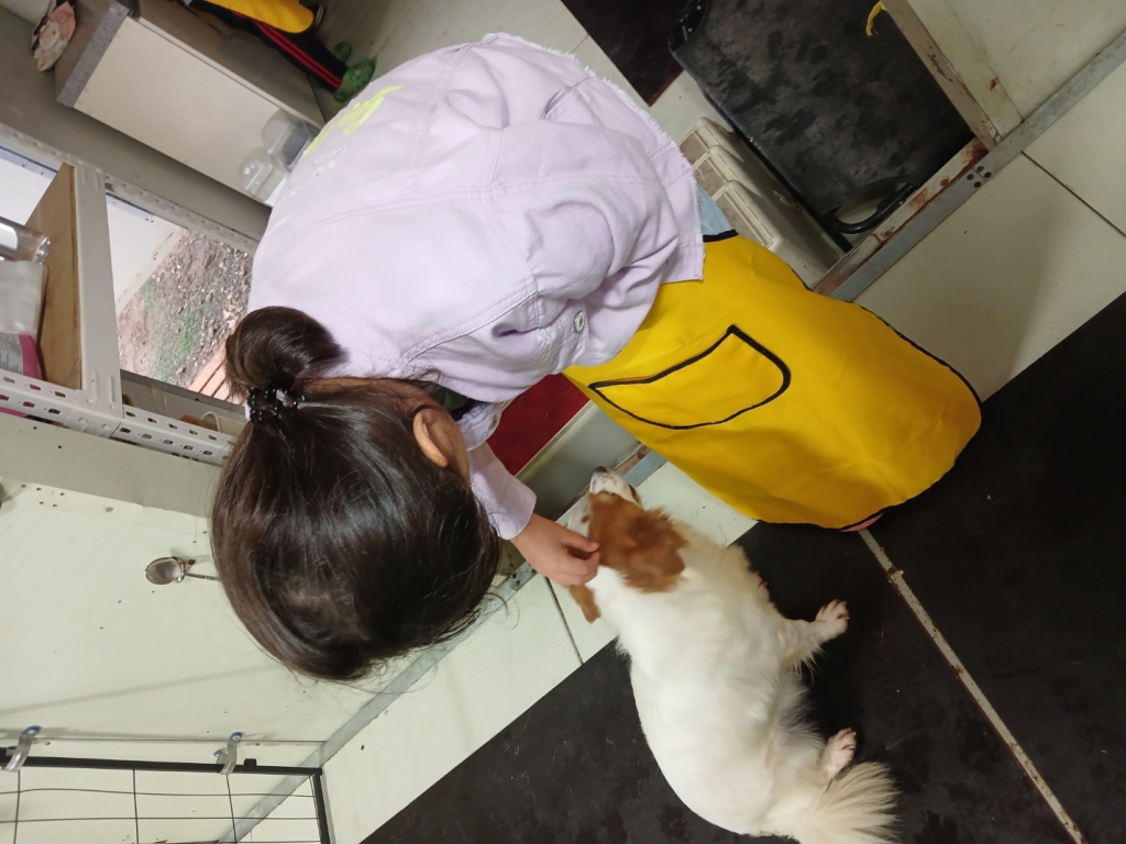KakaoTalk_20241021_120819558_12.jpg