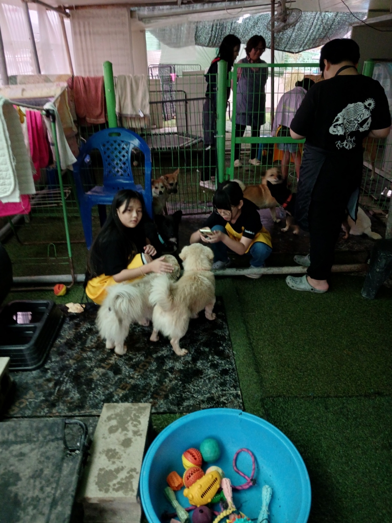 KakaoTalk_20241021_120819558_01.jpg