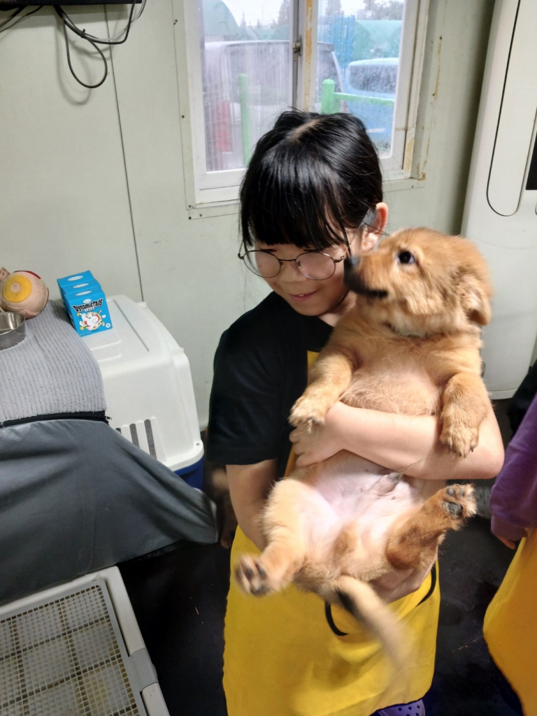 KakaoTalk_20241021_120819558_14.jpg