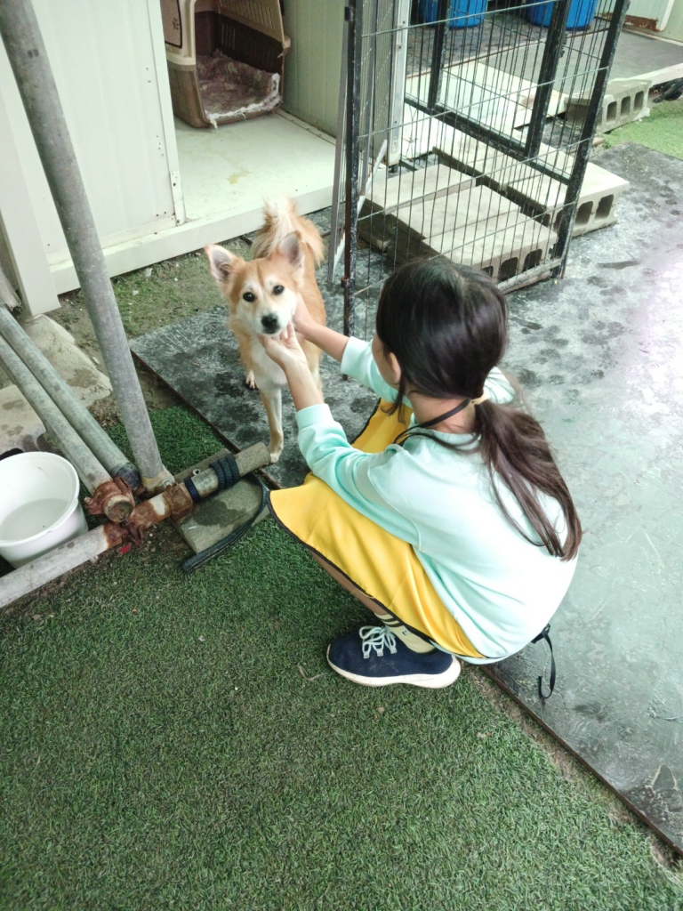 KakaoTalk_20241021_120819558_02.jpg