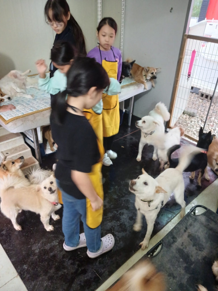 KakaoTalk_20241021_120819558_04.jpg