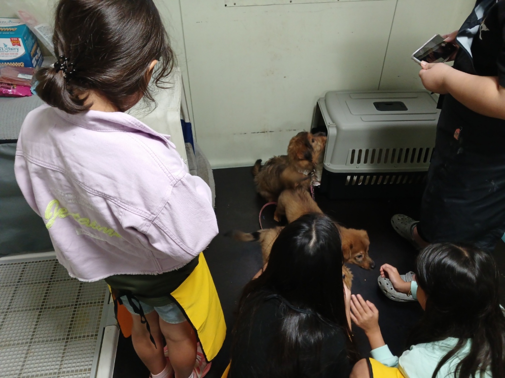 KakaoTalk_20241021_120819558_13.jpg