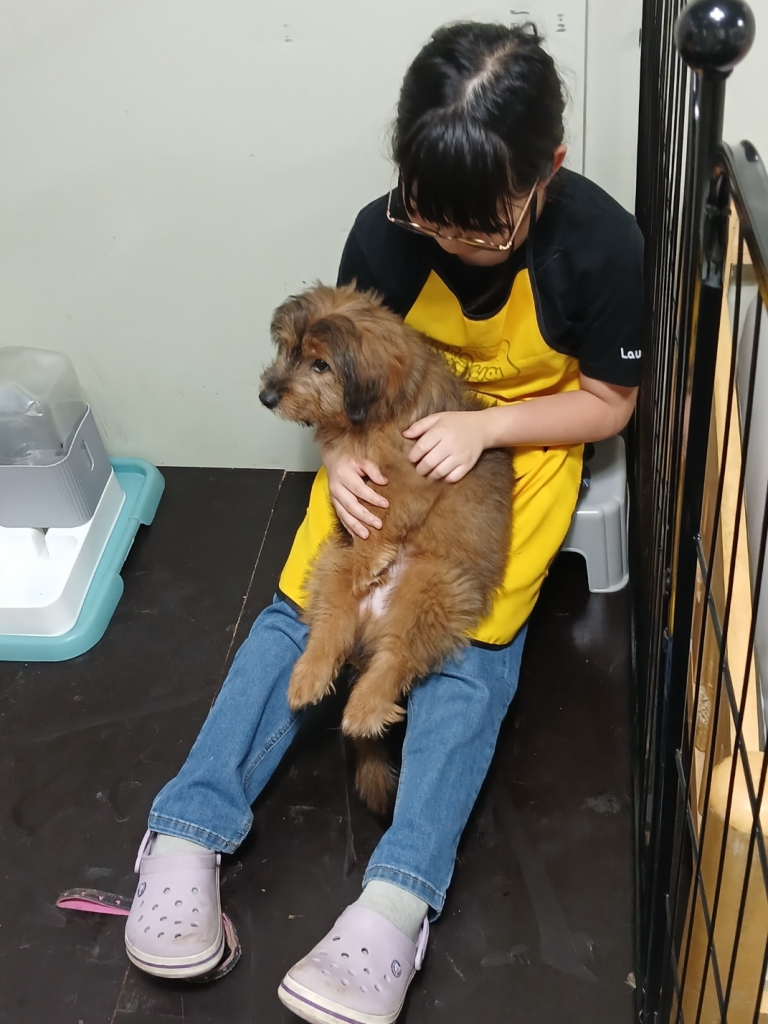 KakaoTalk_20241021_120819558_06.jpg