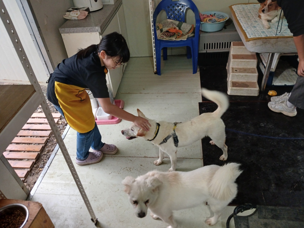 KakaoTalk_20241021_120819558_10.jpg