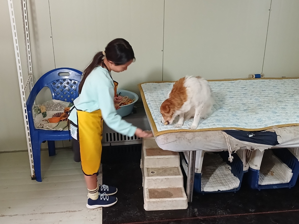 KakaoTalk_20241021_120819558_07.jpg