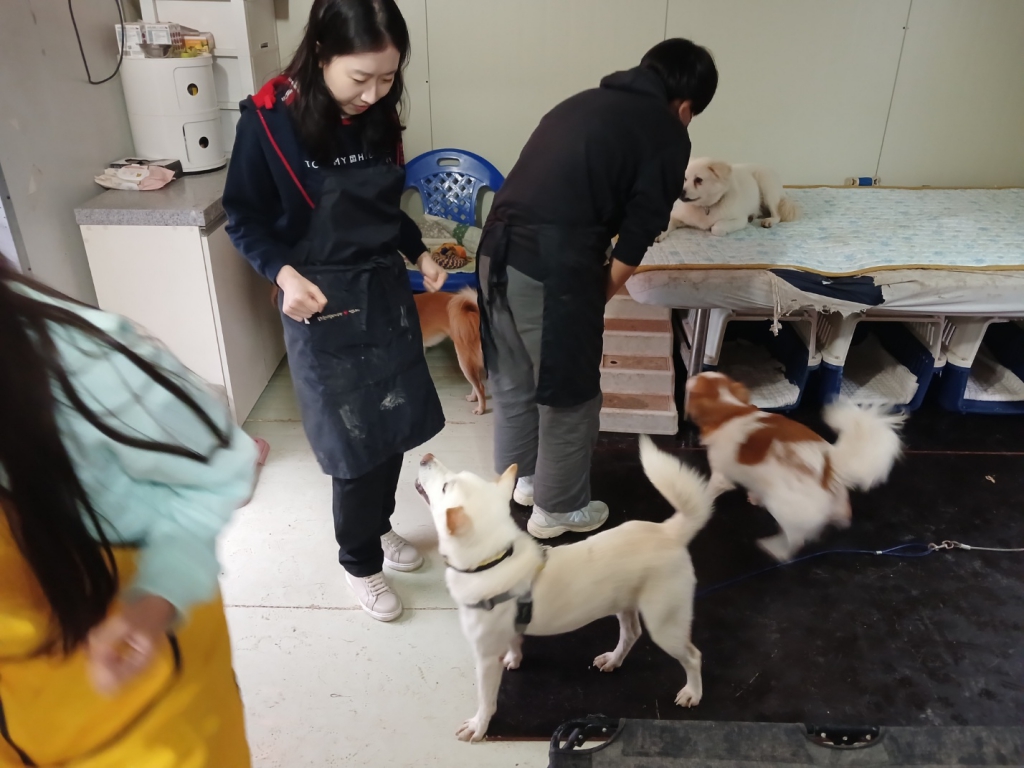 KakaoTalk_20241021_120819558_15.jpg