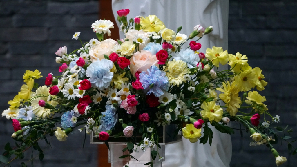 DSC08470.JPG