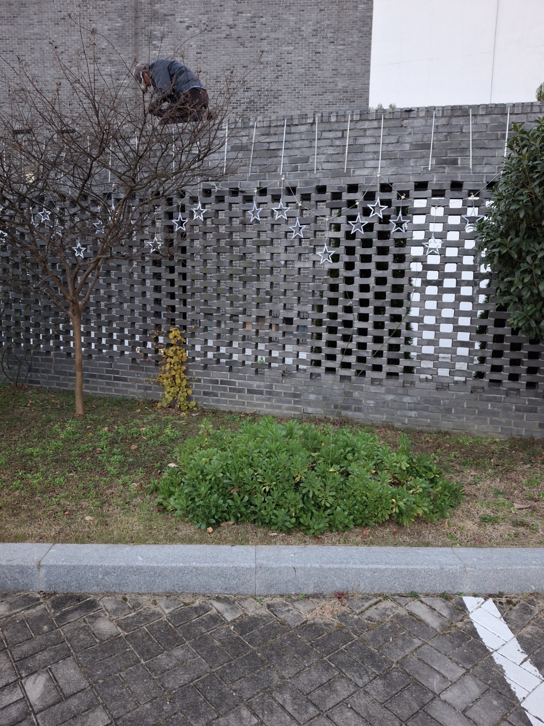 KakaoTalk_20241208_085731465.jpg