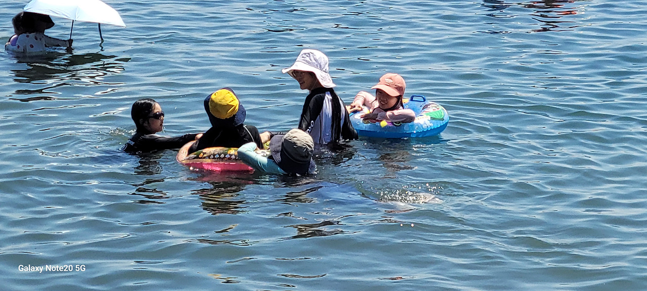 다운로드 (25).jpg