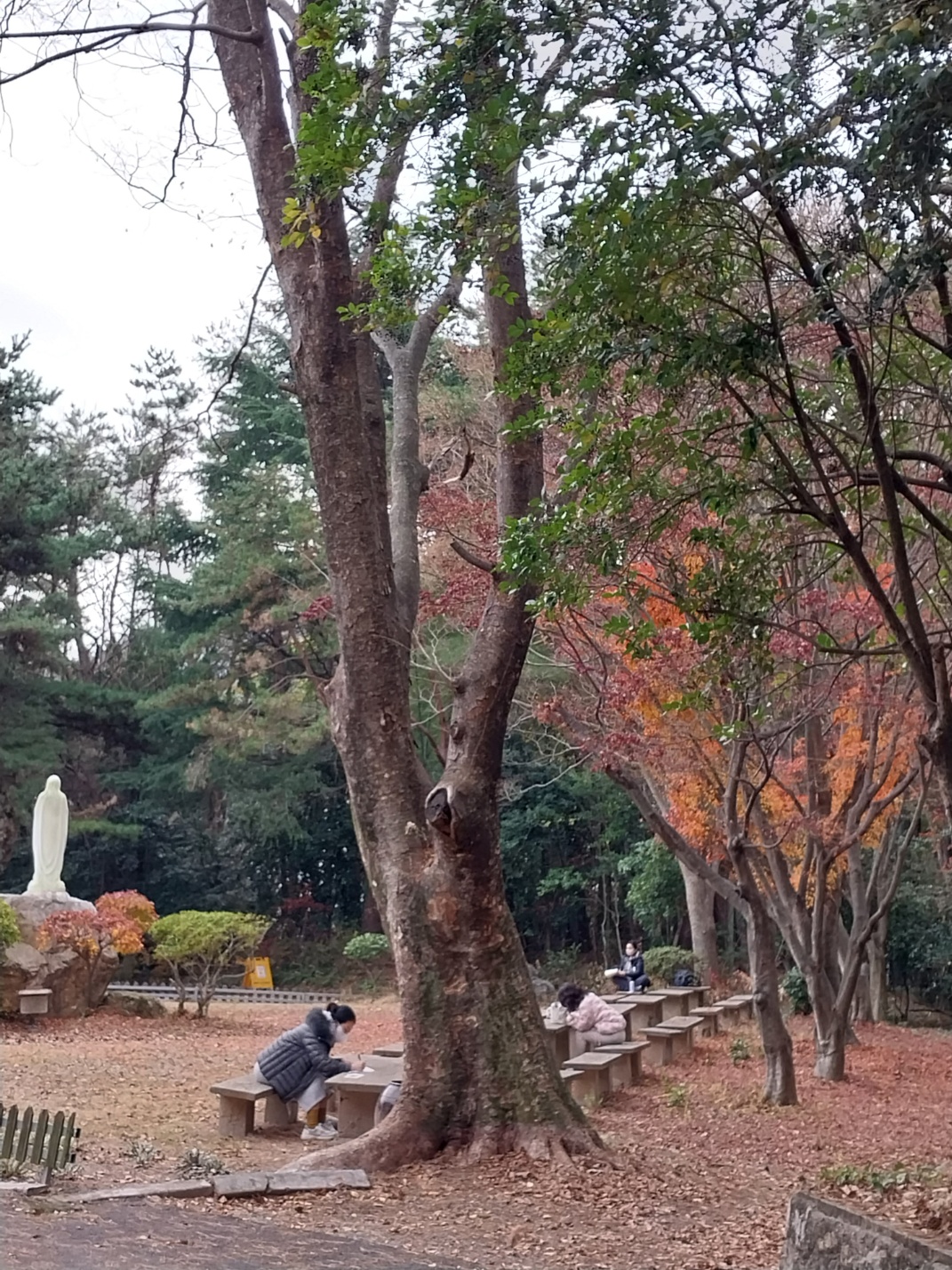 KakaoTalk_20221211_083302237_04.jpg