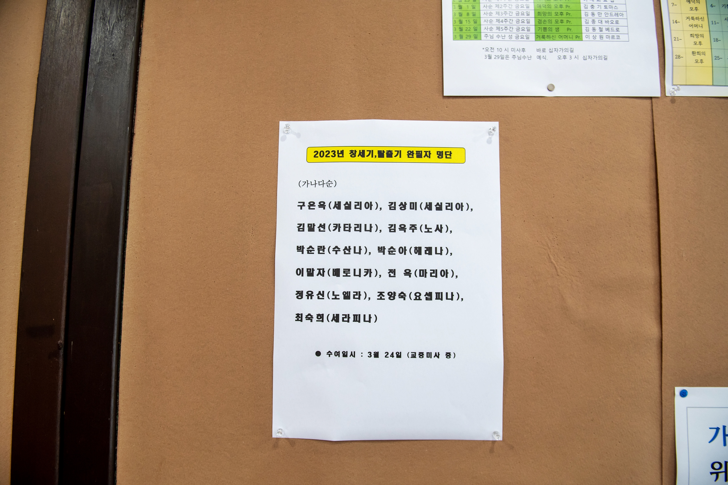 SUN_4039.jpg