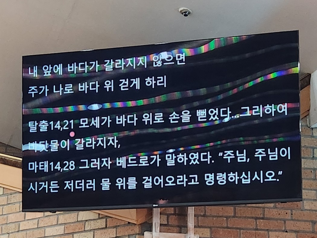 KakaoTalk_20241029_084914628_06.jpg