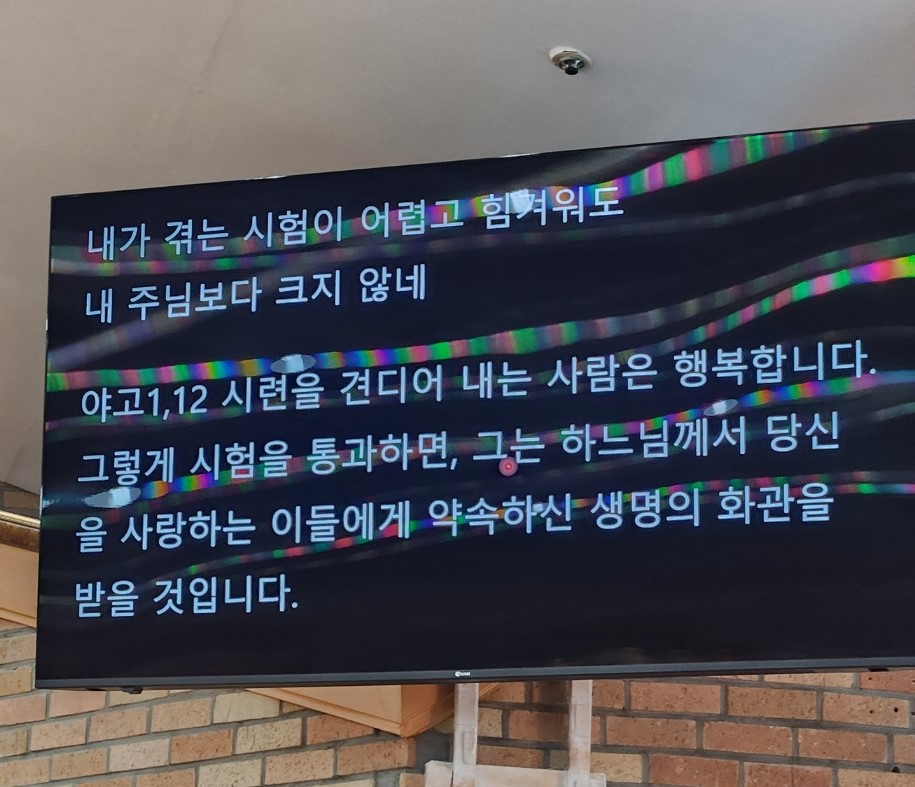 KakaoTalk_20241029_084914628_05.jpg