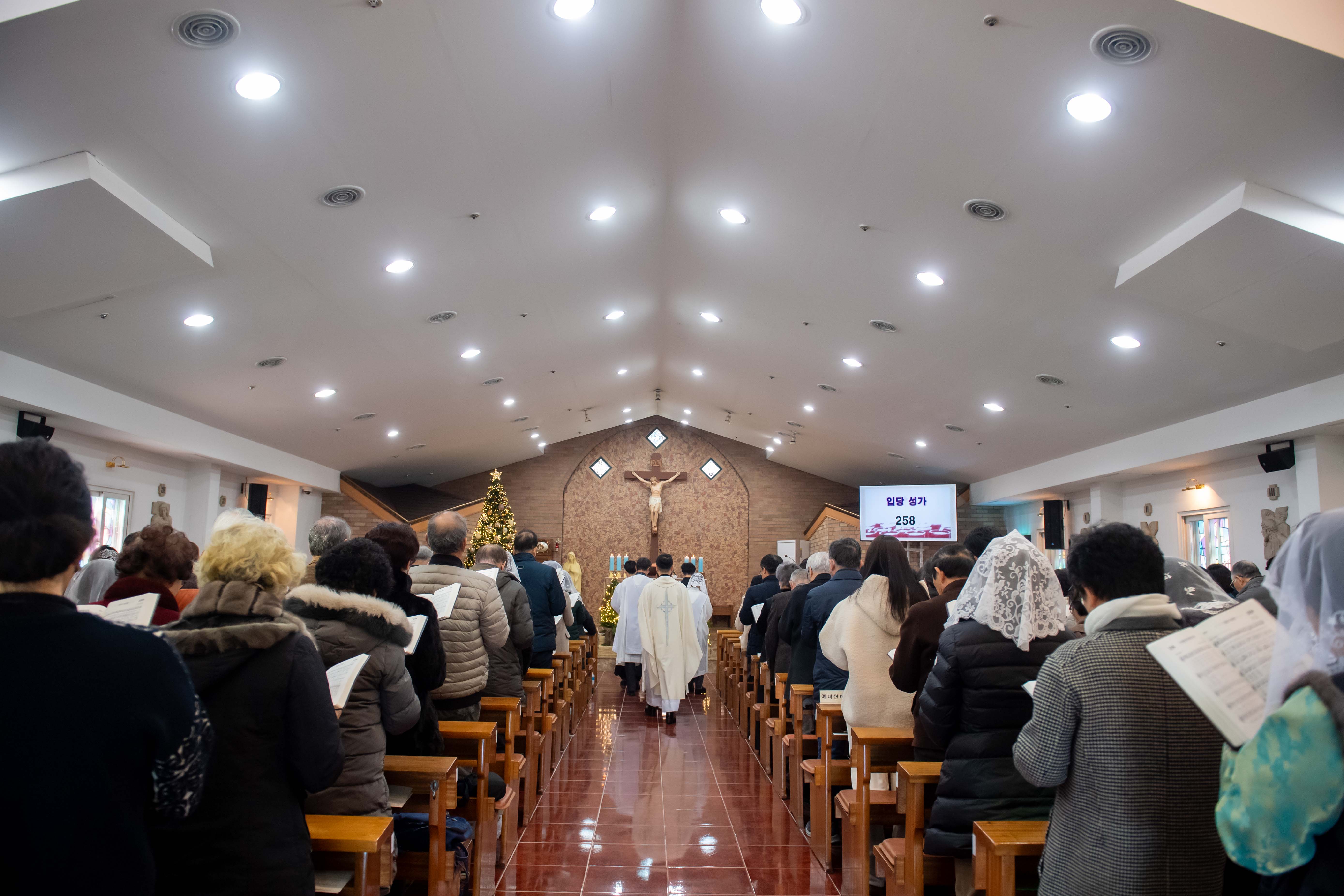 PIS_0509-2.JPG
