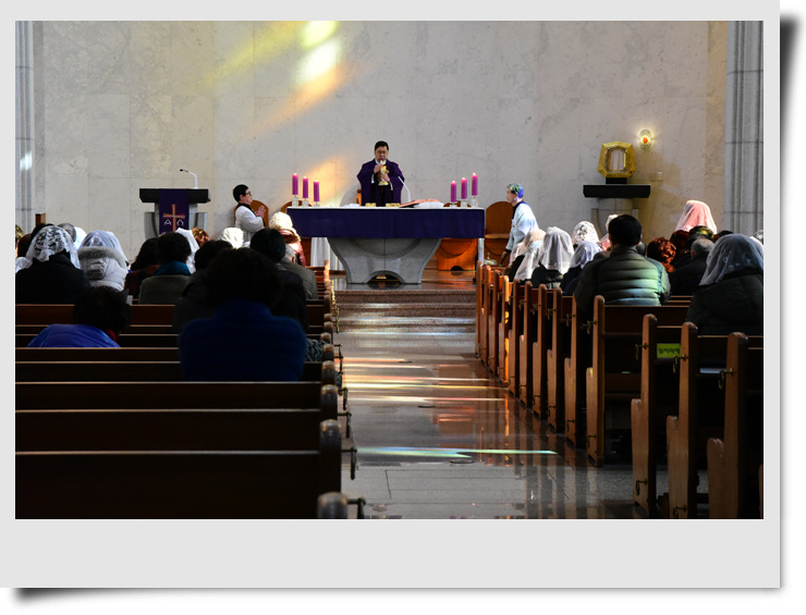 6DSC_5660[0].jpg