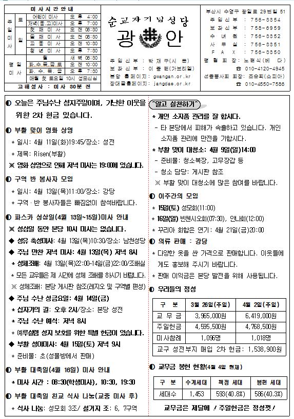 주님수난성지주일.JPG