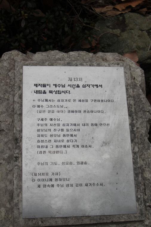 크기변환_IMG_3488.JPG