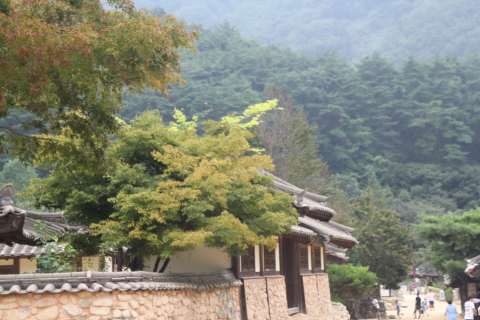 크기변환_IMG_2098.JPG