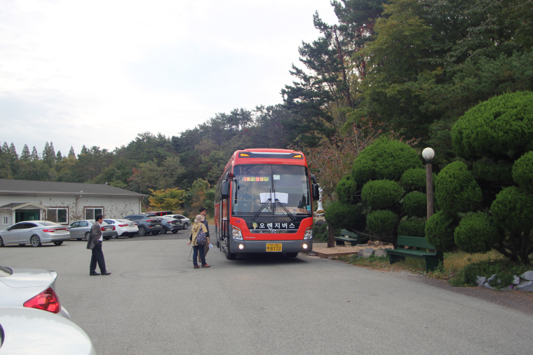 IMG_2907.png