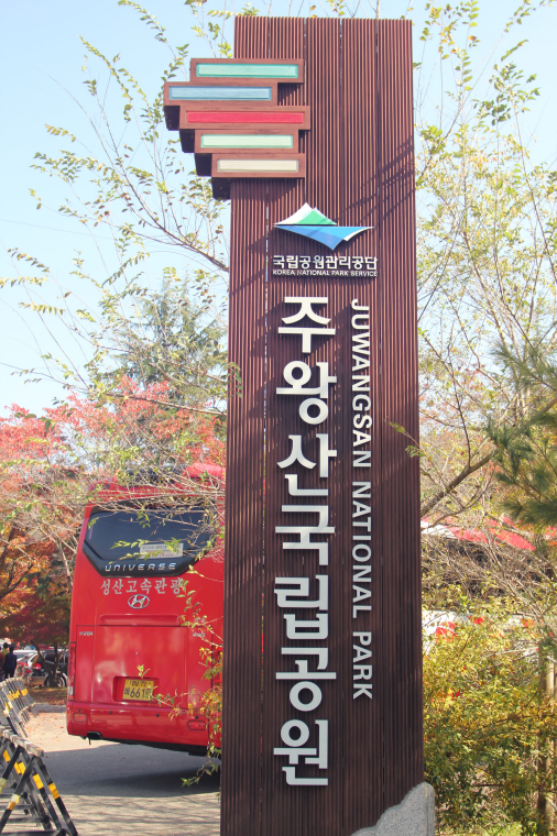 IMG_2924.png