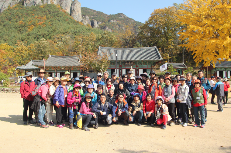 IMG_2944.png