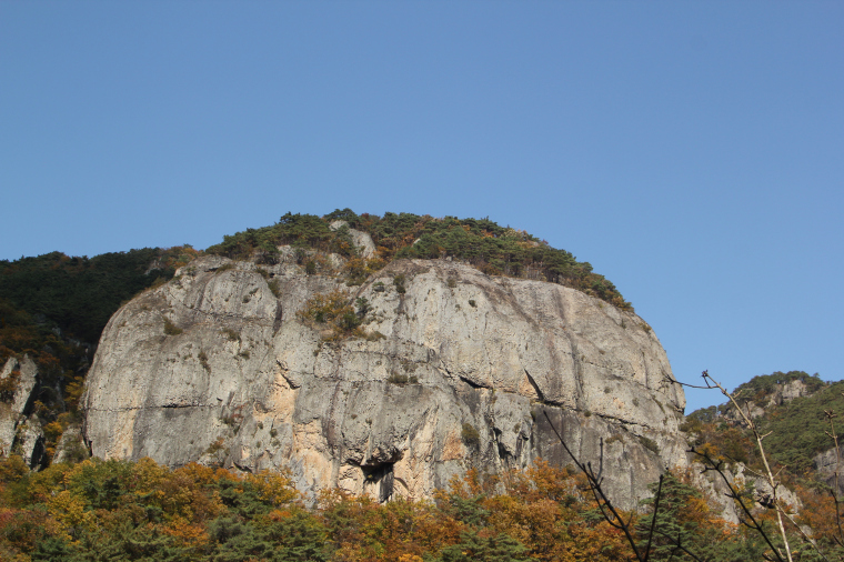 IMG_2951.png
