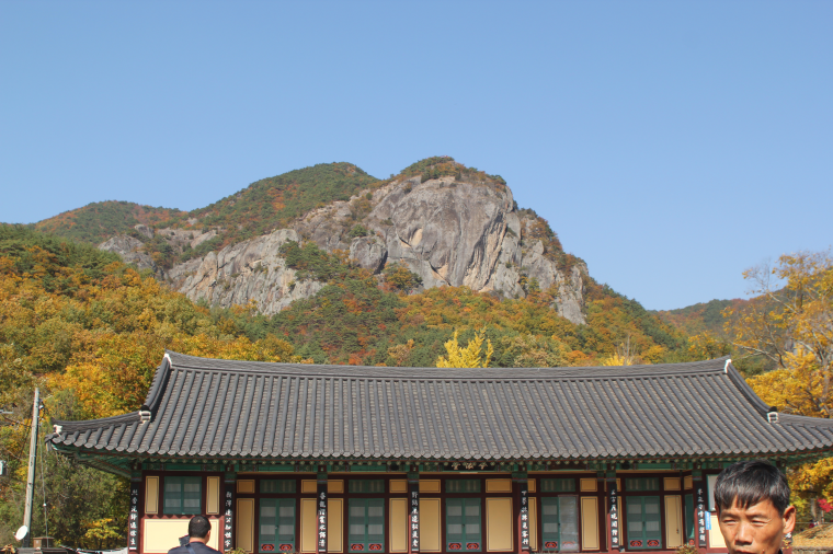 IMG_2942.png
