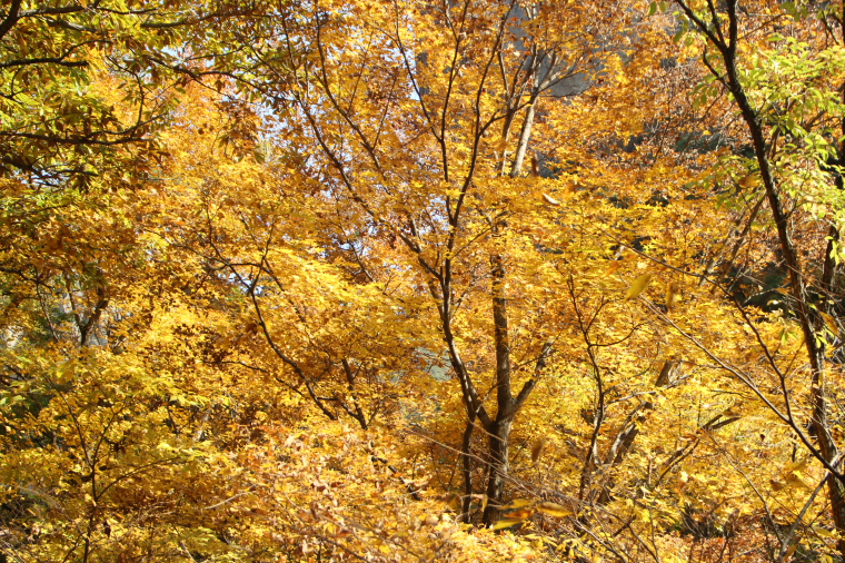 IMG_2957.png