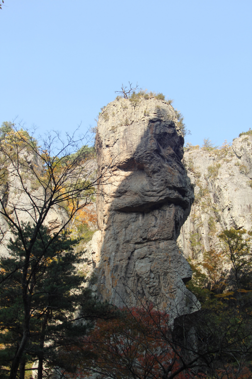 IMG_2964.png