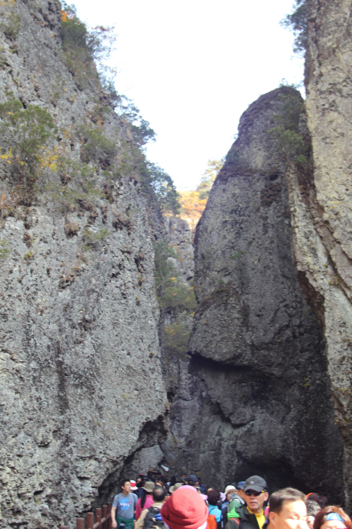 IMG_2969.png