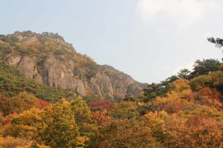 IMG_3078.png