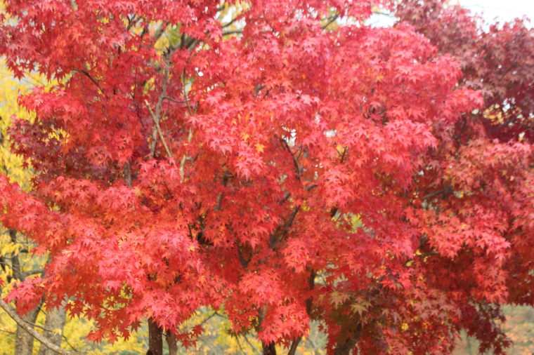 IMG_3086.png